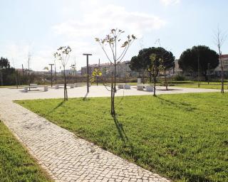 Vagos apresenta projeto “Vagos Livre de Cortaderia”.