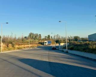 Fabricante de bicicletas instala-se em Vagos.