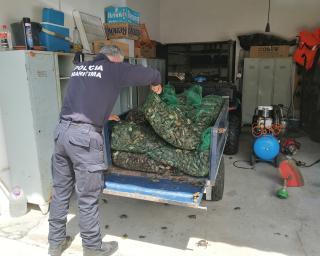 Polícia Marítima apreende 400 kg de caranguejo na Ria de Aveiro.