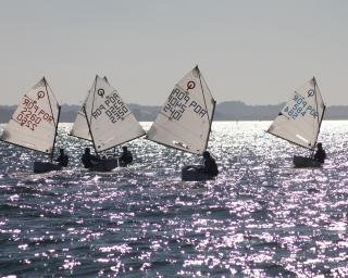 Clube de Vela da Costa Nova lança cursos de iniciação à vela.