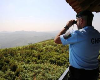 Ações de sensibilização no âmbito da operação 'Floresta Segura'19' esta tarde em Estarreja.