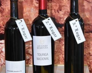 Eleição dos melhores vinhos da bairrada de 2022 distinguiu produção local.