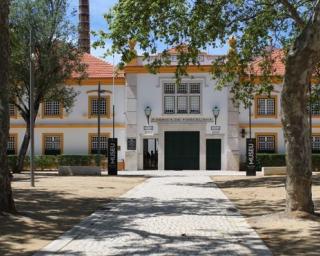 Museu da Vista Alegre regressa ao ciclo de conversas sobre património religioso.