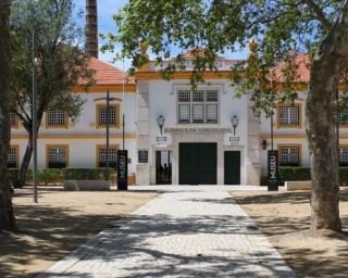 Ílhavo: Museu da Vista Alegre celebra 54º aniversario.