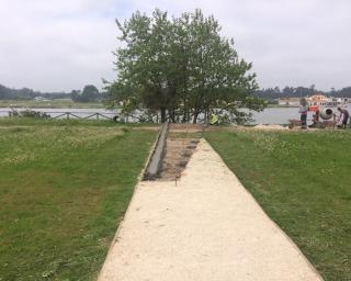 Empresa planta ciprestes no parque de merendas da Vista Alegre.