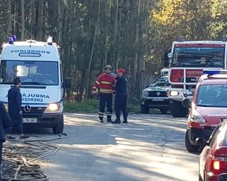 Oliveira de Azeméis: Homem morre carbonizado em queimada.