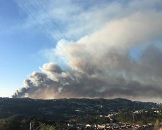 Duas frentes controladas no fogo em Oliveira de Azeméis. Quatro meios aéreos no combate ao fogo.