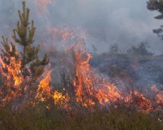 Subida da temperatura do ar: Agravamento do risco de incêndio no interior do Distrito para amanhã e quinta-feira.