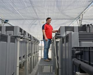 Gafanha da Nazaré: UA cria no ECOMARE instalação-piloto para testar novo sistema de aquacultura.