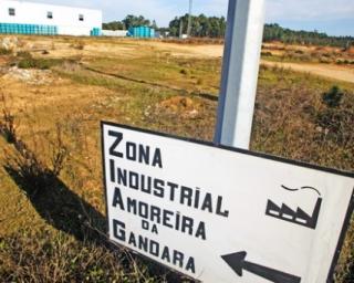  Quercus dá parecer negativo à expansão da Zona Industrial de Amoreira da Gândara.