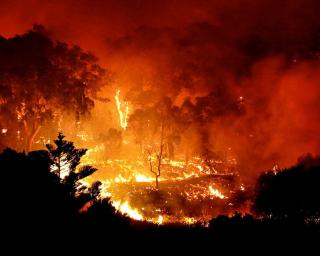 Dois incêndios florestais activos ontem em Aveiro.